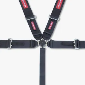 Pyrotect 5-Point Camlock Harness - 3" Width Lap - 2" to 3" HNR Ready Shoulder Harness - Pull Up Adjust - Silver